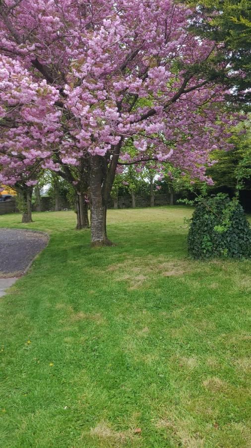 סליין Beechwood House ,Apartment C15Ya44 מראה חיצוני תמונה